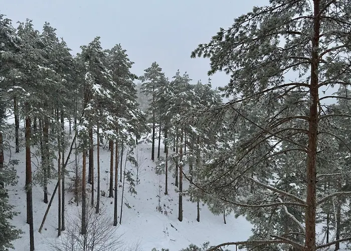 Divciraj 아파트 *